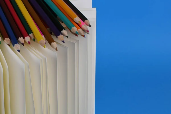 Side View Workplace Pencils Notebook Blue Background High Resolution Photo — Stock Photo, Image