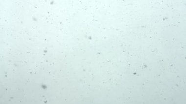 Snow falling down in real time. Heavy snow, large flakes. 4k