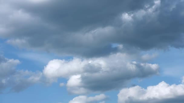 雲の時間の経過 青い空の白い雲 ふわふわの白い雲 積雲の雲の時間経過 夏の青空の時間の経過 天気青い空 — ストック動画