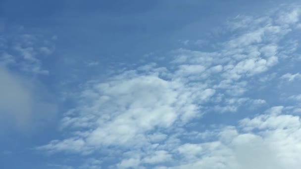 雲の時間の経過 青い空の白い雲 ふわふわの白い雲 積雲の雲の時間経過 夏の青空の時間の経過 天気青い空 — ストック動画