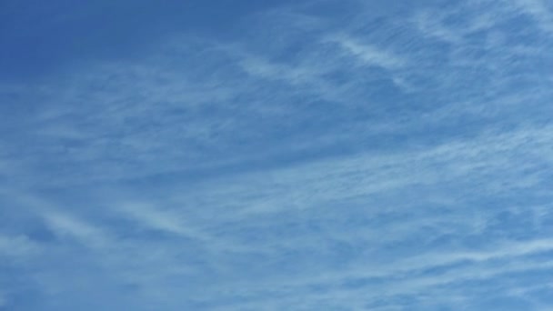 雲の時間の経過 青い空の白い雲 ふわふわの白い雲 積雲の雲の時間経過 夏の青空の時間の経過 天気青い空 — ストック動画