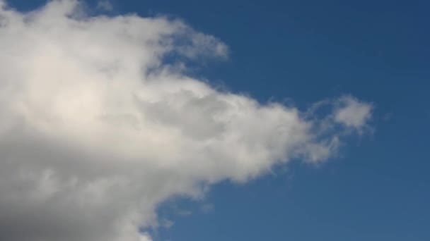 雲の時間の経過 青い空の白い雲 ふわふわの白い雲 積雲の雲の時間経過 夏の青空の時間の経過 天気青い空 — ストック動画