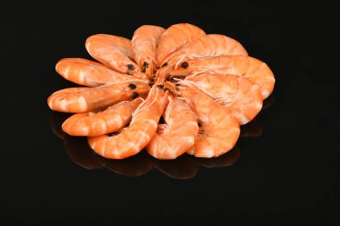 Karides akrilik siyah arka planda izole edilmiş. Yüksek çözünürlüklü. Tam alan derinliği.