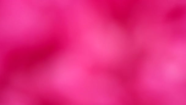 Rozmazané Abstraktní Růžové Pozadí Videozáznam Uhd 3840X2160 — Stock video