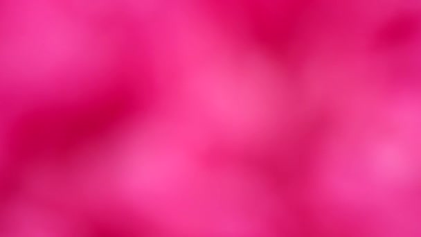 Fondo Rosa Abstracto Borroso Imágenes Vídeo Uhd 3840X2160 — Vídeo de stock