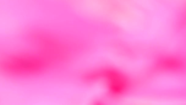 Desfocado Abstrato Fundo Rosa Imagens Vídeo Uhd 3840X2160 — Vídeo de Stock