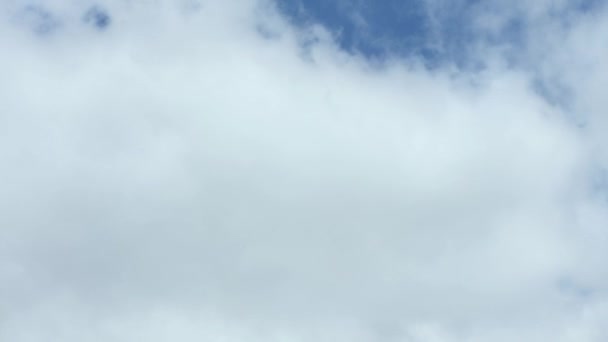 青い空の白い雲 雲の時間の経過 ふわふわの白い雲 積雲の雲の時間経過 夏の青空の時間の経過 Uhdビデオ映像3840X2160 — ストック動画