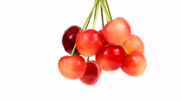 Bunch Cherries Vibrates Pendulum Oscillations Slowly Turn Rotation Fresh Juicy — Stock Video