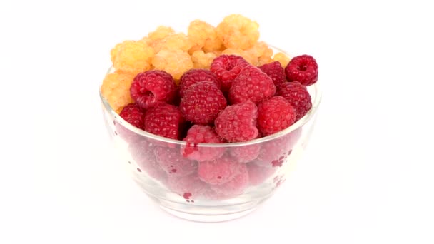 Frische Himbeeren Einem Glasteller Zwei Sorten Himbeeren Goldene Gelbe Himbeere — Stockvideo