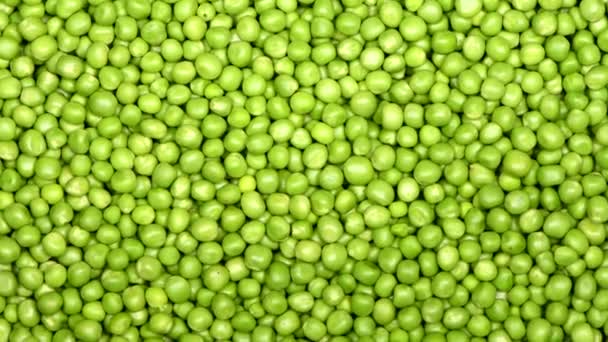Fresh Green Peas Loop Motion Top View Rotation 360 Uhd — Stock Video