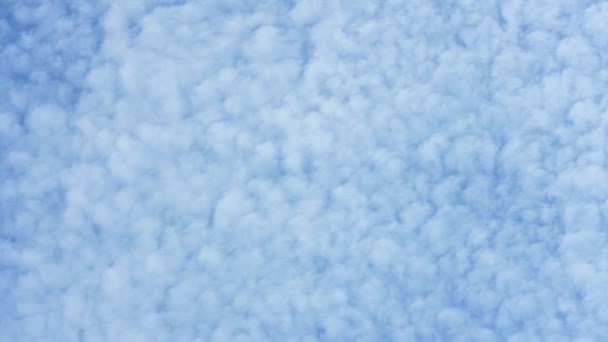 Cumulus Nuages Avec Des Agneaux Nuage Laps Temps Nuages Blancs — Video