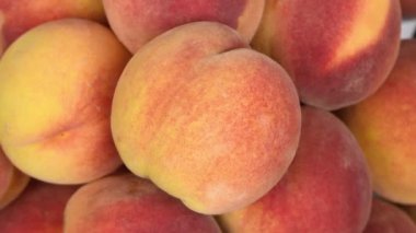 Şeftaliler kapanıyor. Döngü hareketi. Üst Manzara. Rotasyon 360. 4K UHD video görüntüsü 3840X2160.