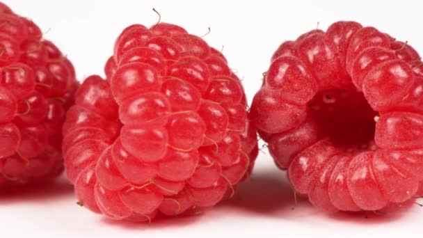 Raspberry Berturut Turut Atas Putih Extrem Close Sisi Tampilan Uhd — Stok Video