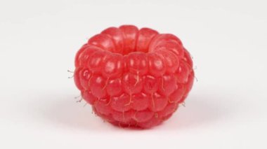 Ahududu yakın çekimi. Döngü hareketi. Üst Manzara. Rotasyon 360. 4K UHD video görüntüsü 3840X2160.