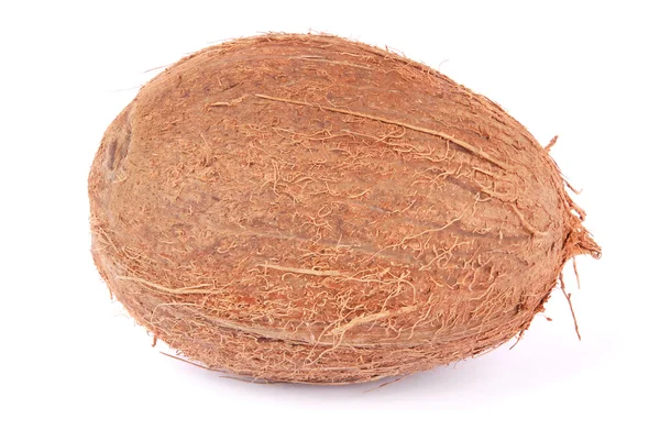 Coconut — Stock Photo, Image