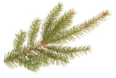 Noel ağacı kıyafeti.