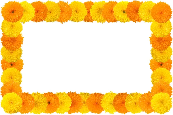 Decorative sunflower frame — Stock Photo, Image