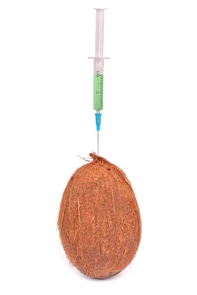 Genetically modified food. Coconut — Stock Photo, Image