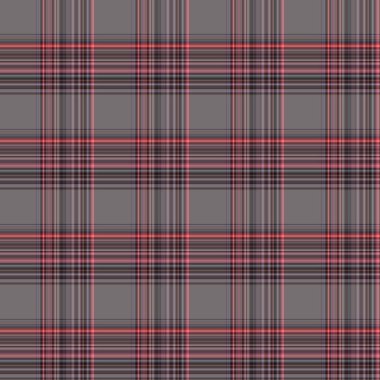 Parlak kumaş, duvar kağıdı, ekose ya da kafesin kusursuz dokusu. Renkli kafes dikişsiz arkaplan.