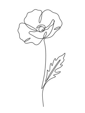 Minimalist siyah mürekkep sürekli olarak çiçek açan bir gelincik çiçeğinin tek bir yaprağı ve sapı ile beyaz üzerine izole edilmiş çizimi..