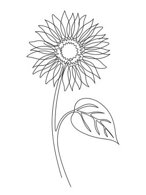 A clean continuous line illustration of a sunflower with dense petals, a stem, and a leaf in a minimalist style.