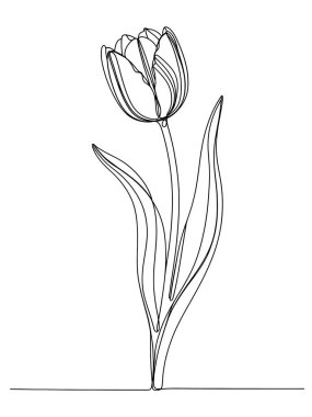 Bir lalenin minimalist siyah ve beyaz çizgileri modern sanatsal tarzda bir bahar çiçeklenmesinin zarafetini ve basitliğini yansıtıyor..