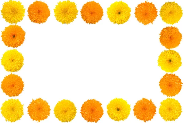 Decorative sunflower frame — Stock Photo, Image