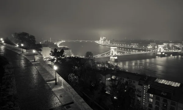 부다페스트 체인 브리지에는 파 보기, 헝가리, 밤에 스톡 사진
