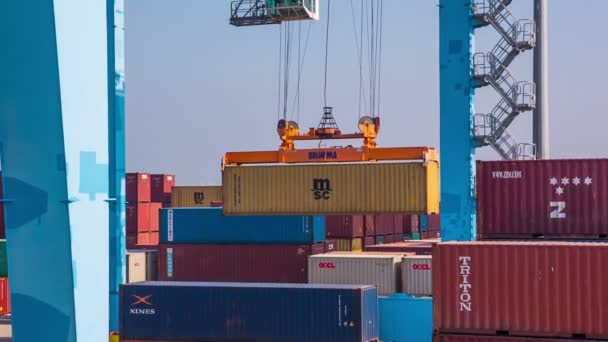 Crane work in Haifa Port — Stock Video