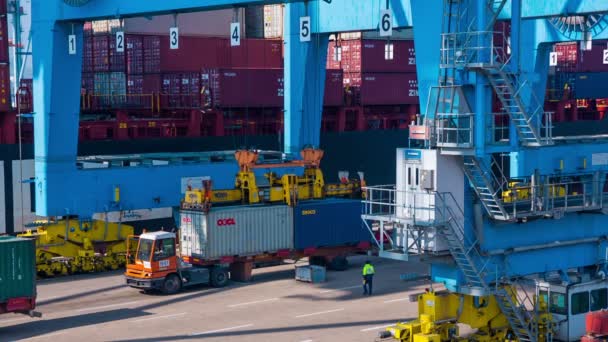 Schip laden en lossen in Haifa haven — Stockvideo