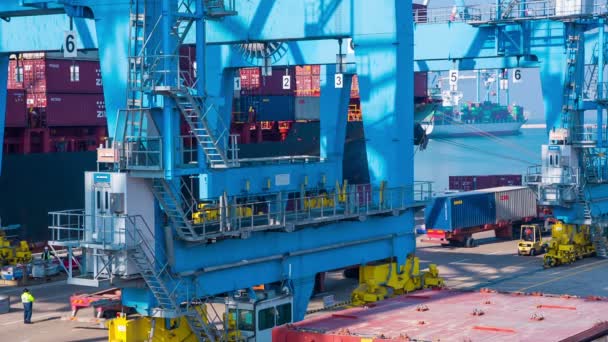船舶装载和卸载在海法港口 — 图库视频影像