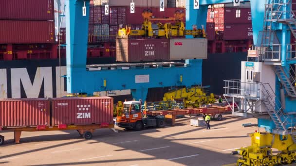 Carregamento e descarga de navios no porto de Haifa — Vídeo de Stock