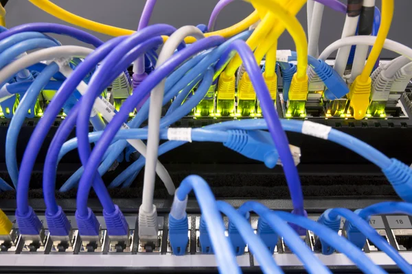 Мережеві кабелі, підключені до сервера — стокове фото