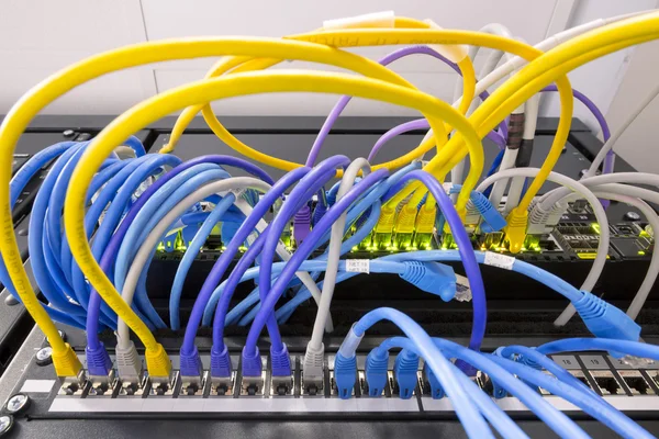 Жовті мережеві кабелі з'єднані з сервером — стокове фото