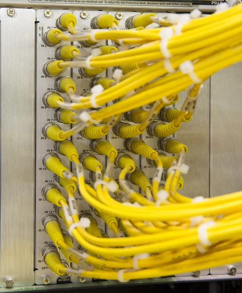 Перемикач і кабель у центрі обробки даних — стокове фото
