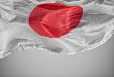 Japon Bayrağı