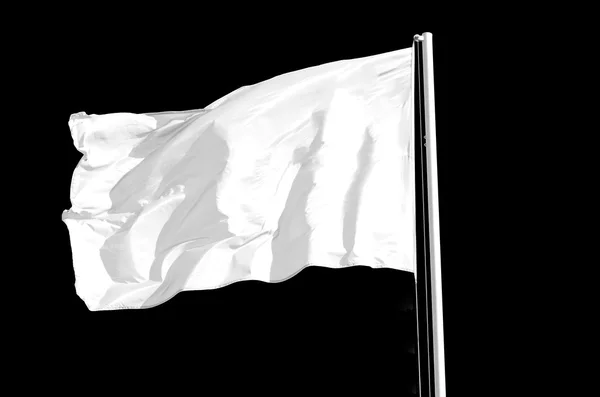 Bandera blanca — Foto de Stock