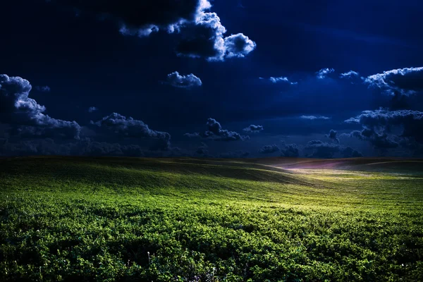 Campo nocturno verde — Foto de Stock