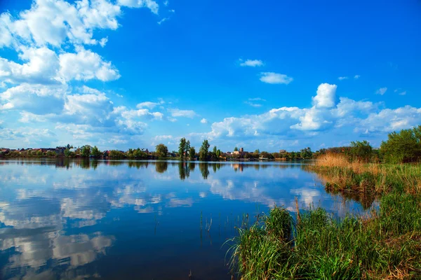 Malebný les a řeka — Stock fotografie