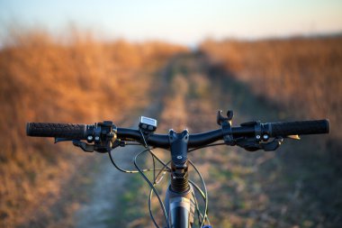 dağ bisikleti tepeden aşağı