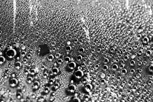 Gocce di macro acqua su fondo nero — Foto Stock