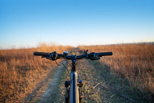 Mountainbiken bergab mit dem Fahrrad schnell abwärts. Blick von — Stockfoto