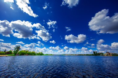 Resimli orman ve nehir.