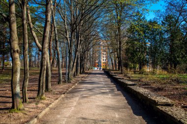 Park içinde güzel Caddesi
