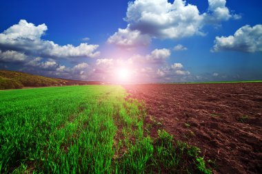 Yeşil Alan ve Güzel Gün Batımı