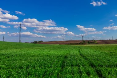 Yeşil Alan ve Güzel Gün Batımı