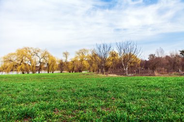 Yeşil Alan ve Güzel Gün Batımı