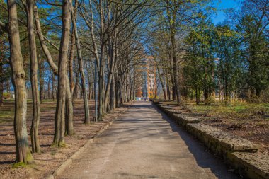 Park içinde güzel Caddesi