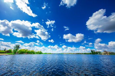 Resimli orman ve nehir.