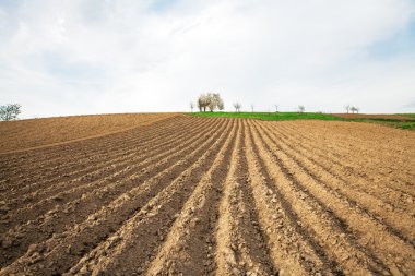 sürülmüş alana ve bulutlu gökyüzü 